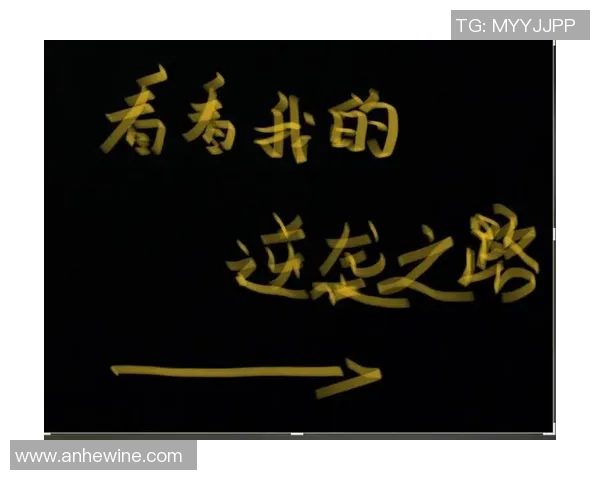 V5逆袭之路揭秘：挑战者杯背后的奋斗与荣耀