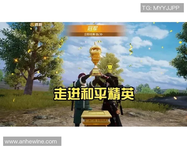 杨强专访揭秘和平精英成功背后的策略与创新之路