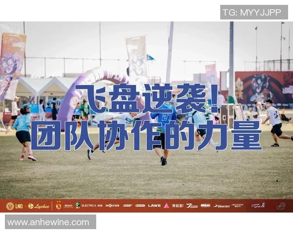 杭州飞盘队运营创新探索：从团队管理到市场推广的全方位升级之路